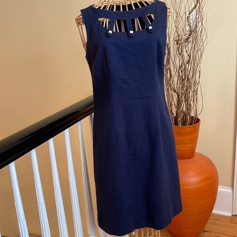 Britt Ryan Navy Dress With White Buttons